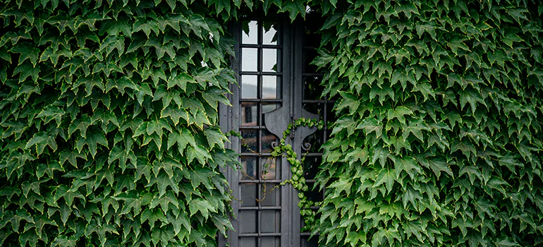 Garden Gate Repair in Pompano Beach, FL