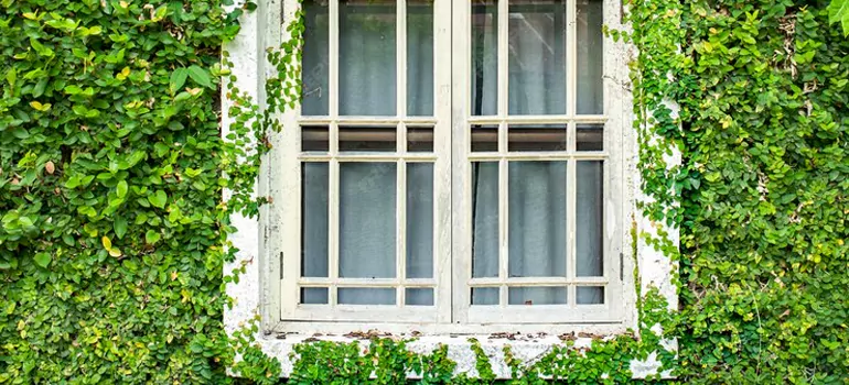 Garden Window Repair Near Me in Pompano Beach, FL