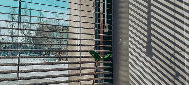 Commercial Window Blinds in Pompano Beach, FL