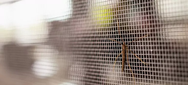 Repair Mosquito Mesh For Windows in Pompano Beach, FL