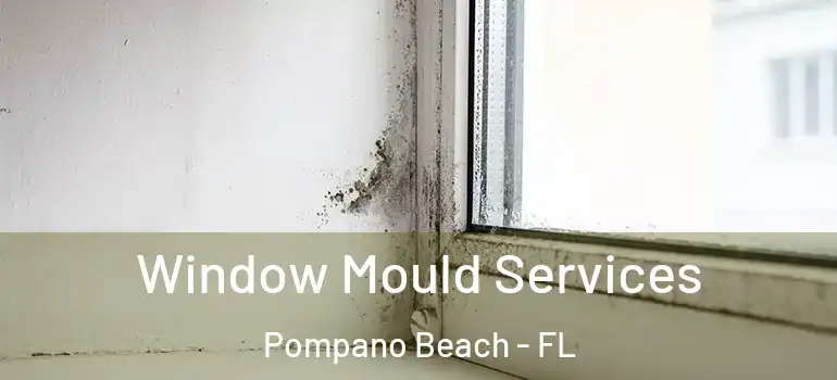  Window Mould Services Pompano Beach - FL